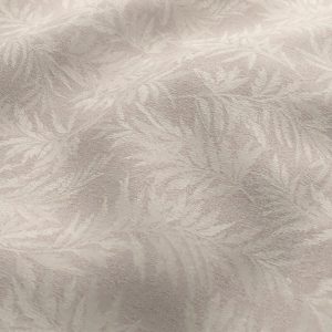 Carnaby 06-Orchid