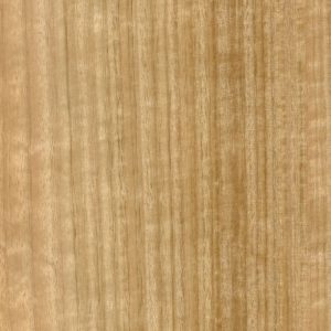Eucalyptus Quarter