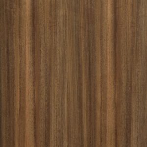 Queensland Walnut