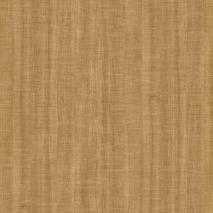 Nori Itadori Elm