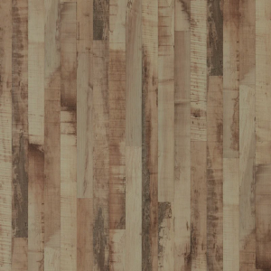 Corona Maple